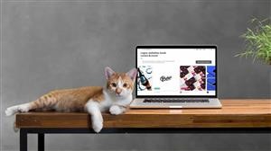 99designs.com Facebook